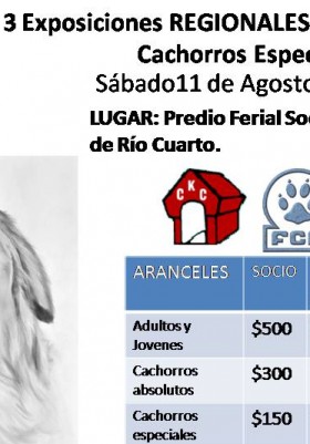 3 Exposiciones  Regionales de Campeonato - Región...
